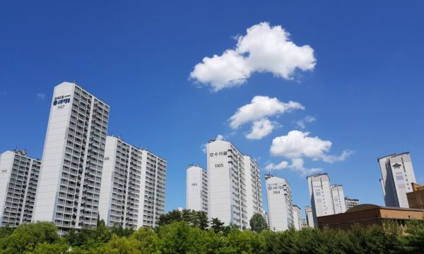 마포 상속세, 20년 경력의 홍세민 세무사가 제시하는 ‘가족을 위한 마지막 배려’
