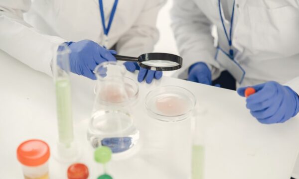 식품 안전 테스트 – 식품 불순물을 방지하는 좋은 방법