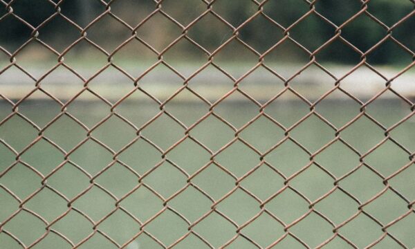 해외선물 미니계좌 성공 가이드: AI 실시간 분석 플랫폼 ‘해선LINK’ 활용 백서