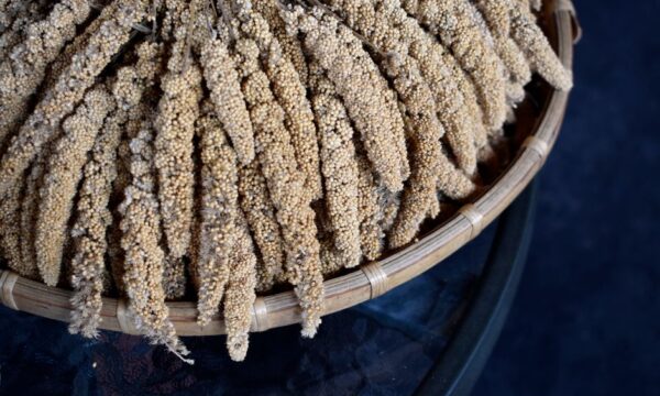 Foxtail Millets로 완전한 단백질을 섭취하세요