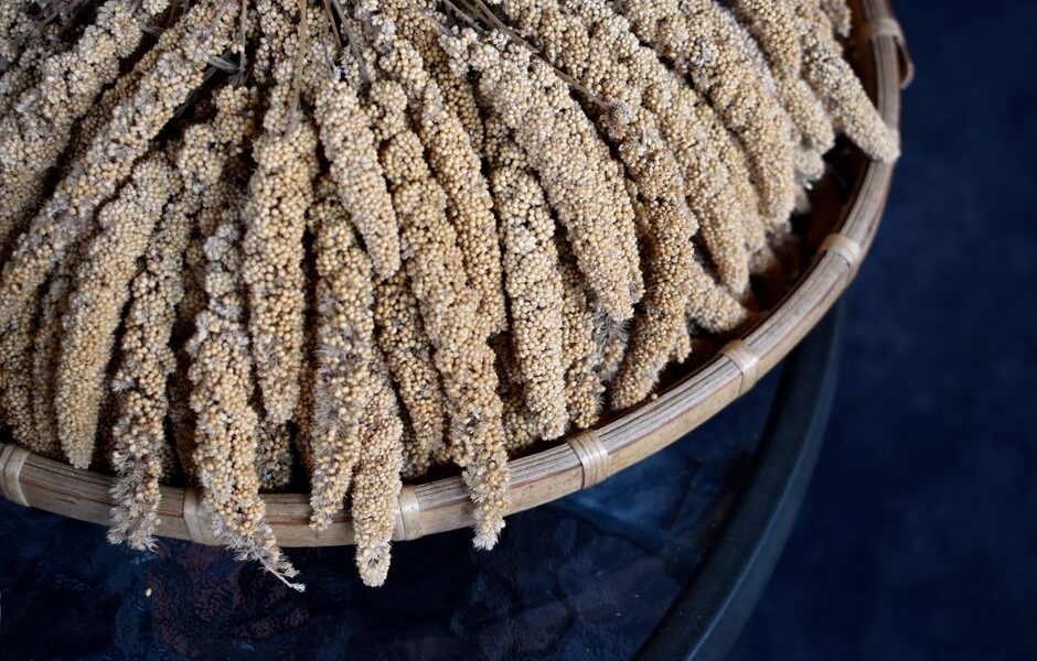 Foxtail Millets로 완전한 단백질을 섭취하세요