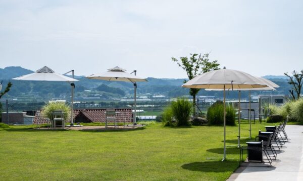 30분 안에 준비할 수 있는 5가지 쉬운 채식 저녁 식사 레시피