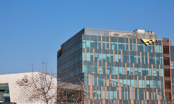 기업 팀 빌딩