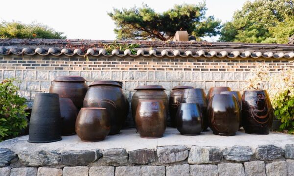 올바른 보존 용기와 이러한 팁으로 보툴리누스 중독을 예방하세요
