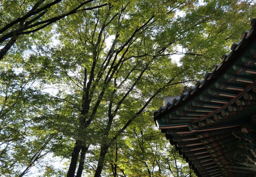 나무를 적절하게 관리하고 땅을 안전하게 지키세요