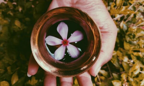 류마티스 관절염에 대한 전통적인 Ayurveda 치료법