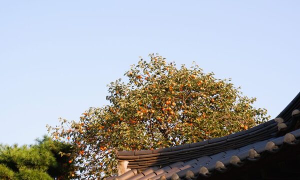 금과 은에 대한 수입관세 인상: 귀하에게 미치는 영향